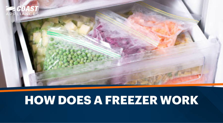 How Does a Freezer Work? Understanding Freezer Mechanics