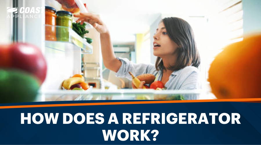 How Does a Refrigerator Work? Understanding Refrigerator Compressors