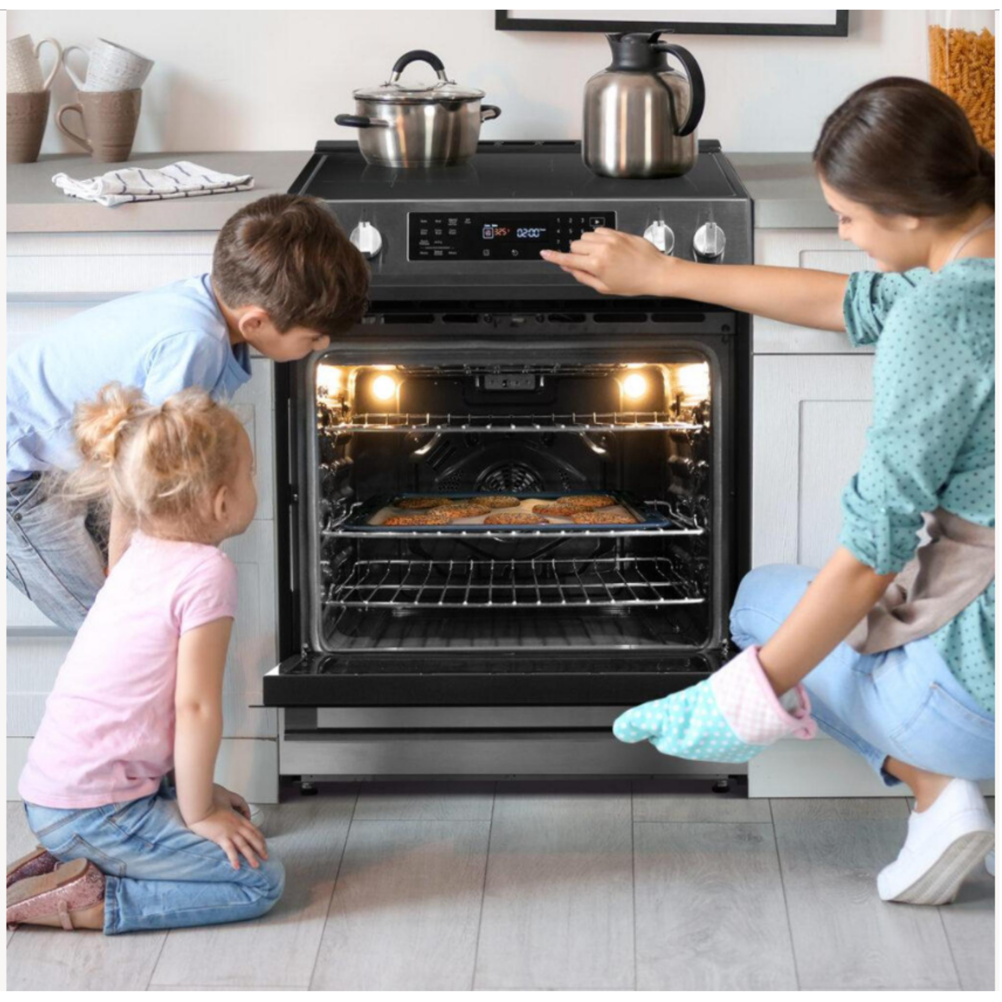 Danby - 5 cu. ft Induction Range in Stainless - DIRC300BSSC