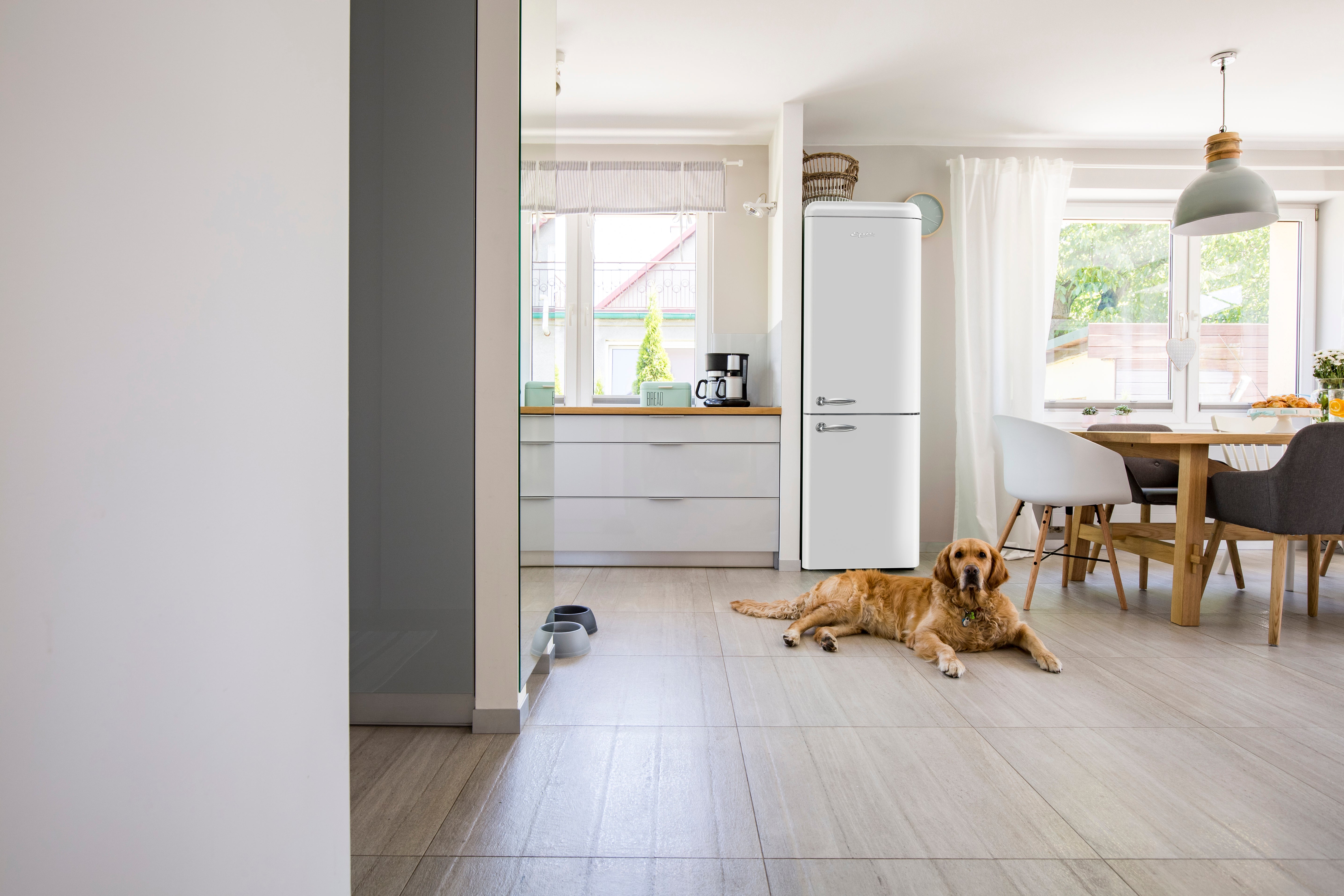 Epic - 23 Inch 11 cu. ft Bottom Mount Refrigerator in White - ERFF111W