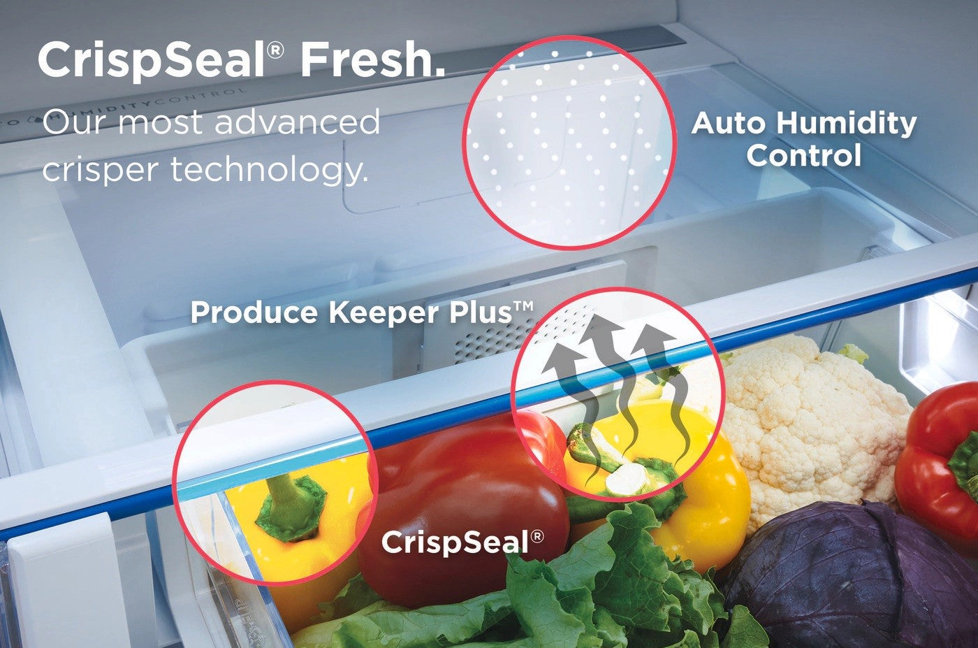 Frigidaire Gallery - 30 Inch 20 cu. ft French Door Refrigerator in Stainless - GRFN2023AF