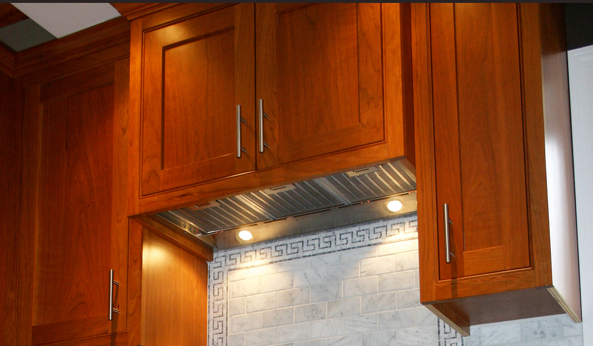 Faber - 29 Inch 600 CFM Insert Vent in Stainless - INHC29SSV