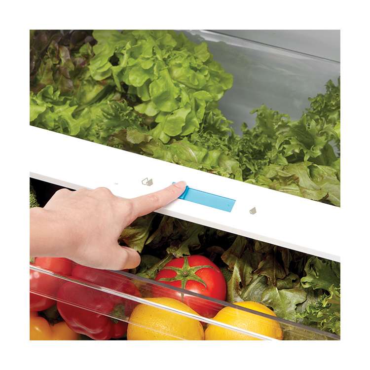 Midea - 27.6 Inch 14.2 cu. ft Top Mount Refrigerator in White - MRT14D2BWW