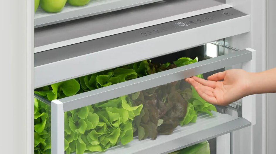 Fisher & Paykel - 24 Inch 12.4 cu. ft Built In / Integrated Refrigerator in Panel Ready - RS2484SRHE1