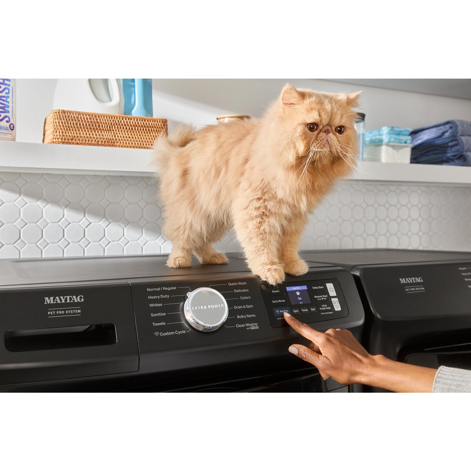 Maytag - 7.3 cu. Ft Electric Dryer in Black - YMED7020RU