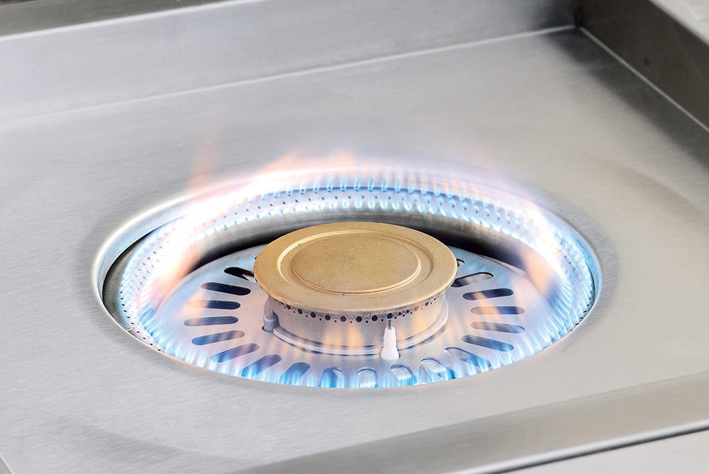 Alfresco - 2 Burner Liquid Propane BBQ Outdoor Cooker in Stainless - AXEVP-LP