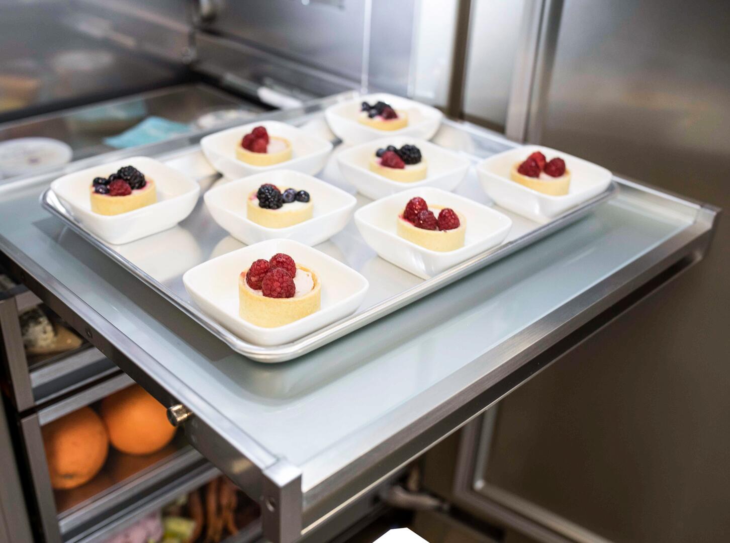 BlueStar - 23.375 Inch 12.99 cu. ft Built In / Integrated All Fridge Refrigerator in Stainless - BIR24R0