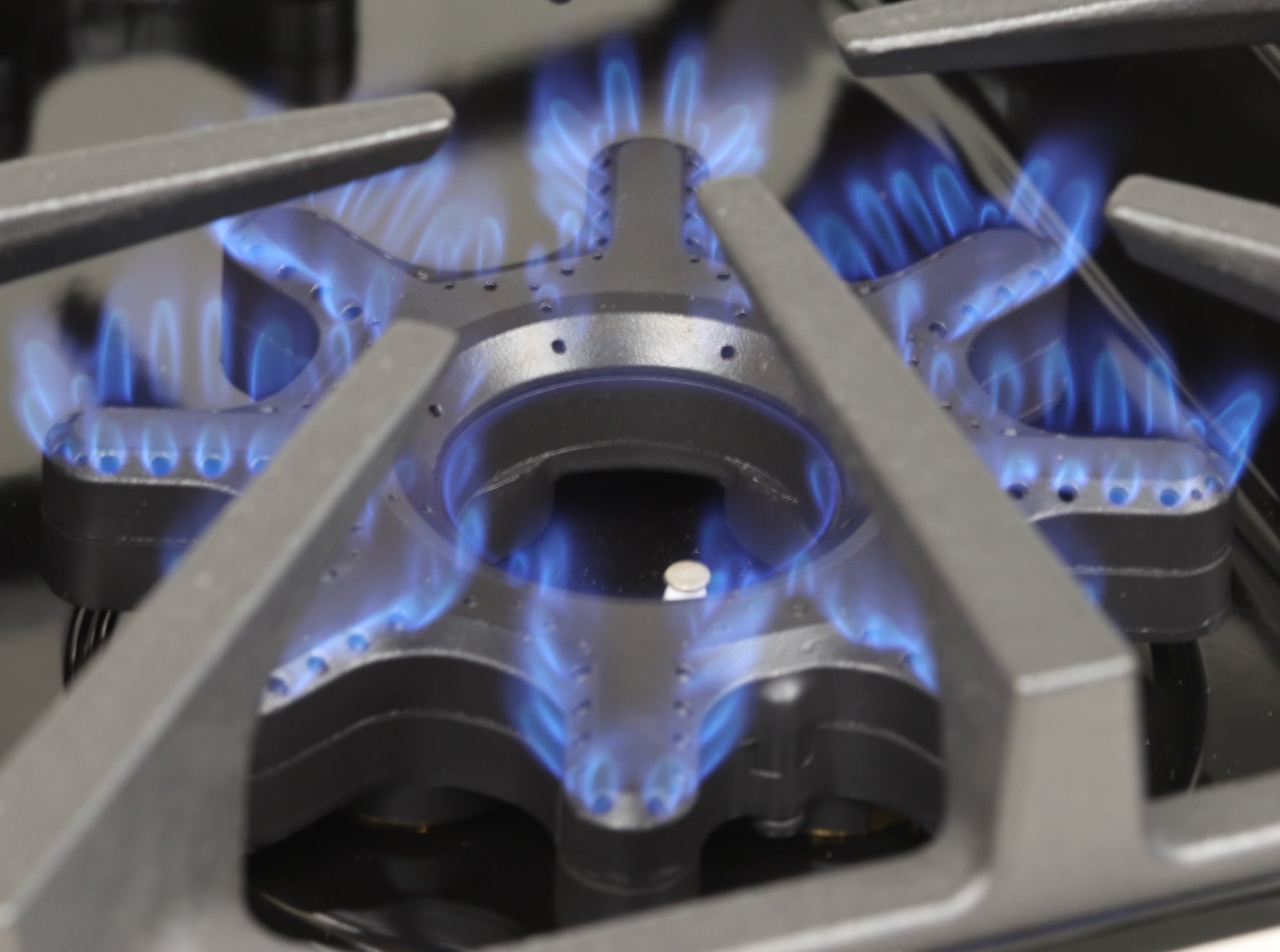 BlueStar - 47.875 Inch Dual Fuel Range in Stainless - BSDF488BLWPLT