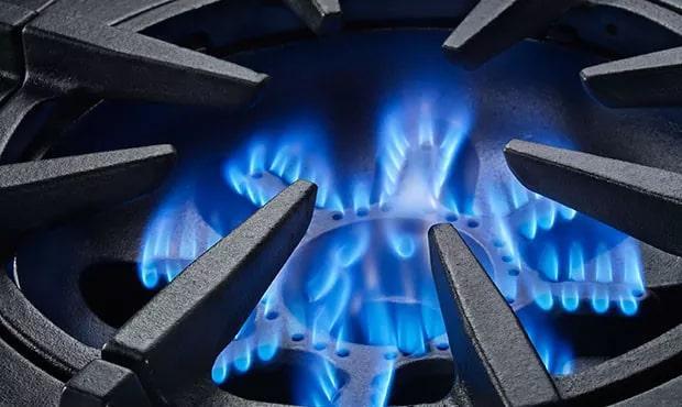 BlueStar - 9.2 cu. ft Gas Range in Stainless - BSP6010B