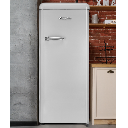 Epic - 21.5 Inch 9 cu. ft All Fridge Refrigerator in Silver - ERAR88SVR