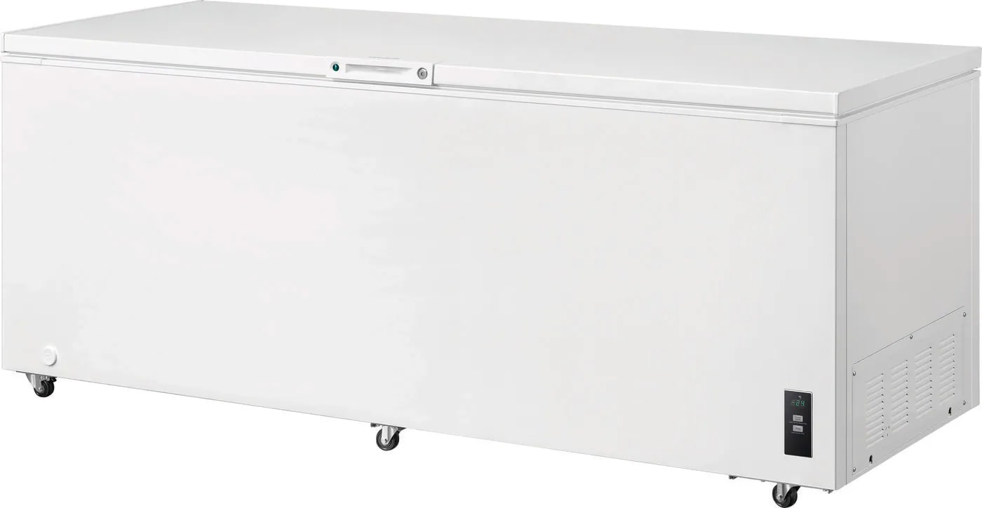 Frigidiare - 24.9 cu. Ft Chest Freezer in White - FFCL2542AW