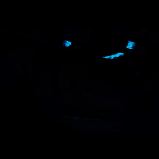 Jennair - 36 inch wide Gas Cooktop in Stainless - JGC3536GS