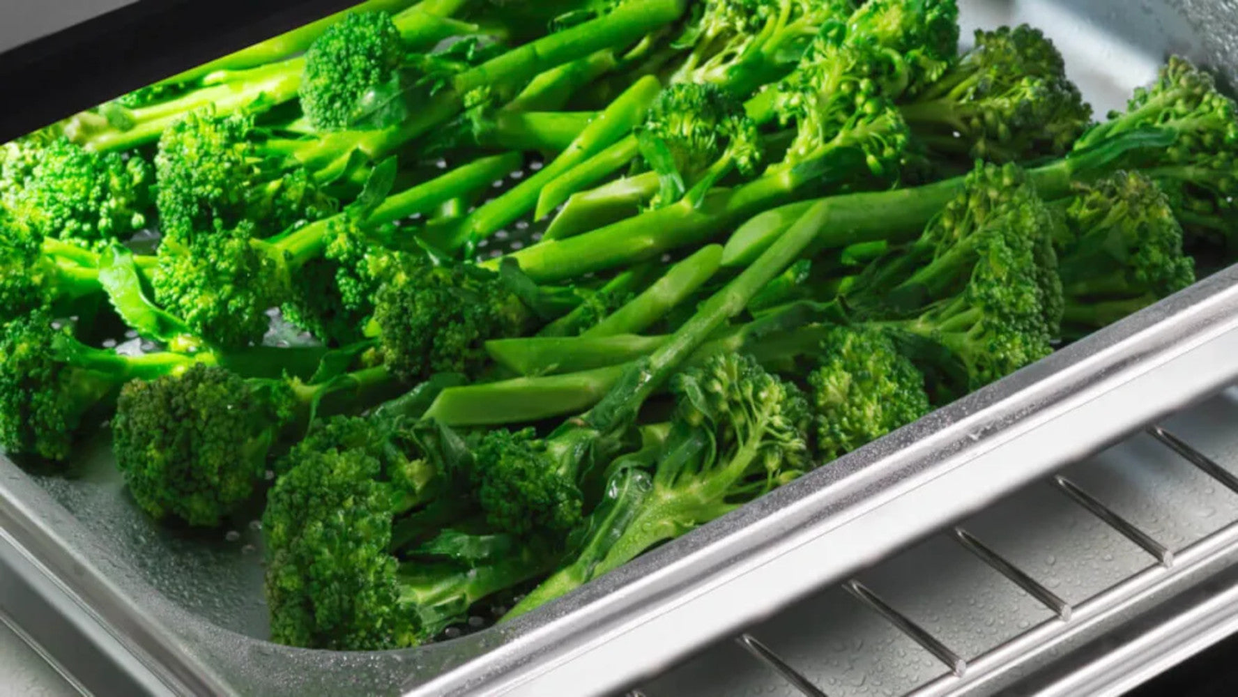 Fisher & Paykel - 1.3 cu. ft Steam Wall Oven in Stainless - OS30NPX1