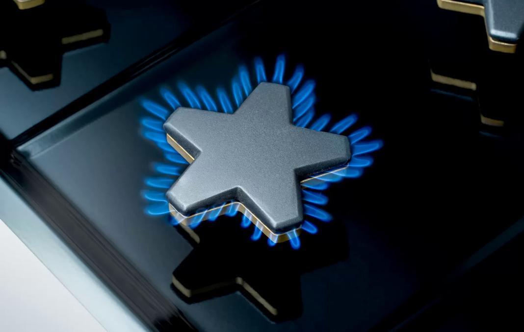 Thermador - 5.7 cu. ft Gas Range in Stainless - PRG364WDG