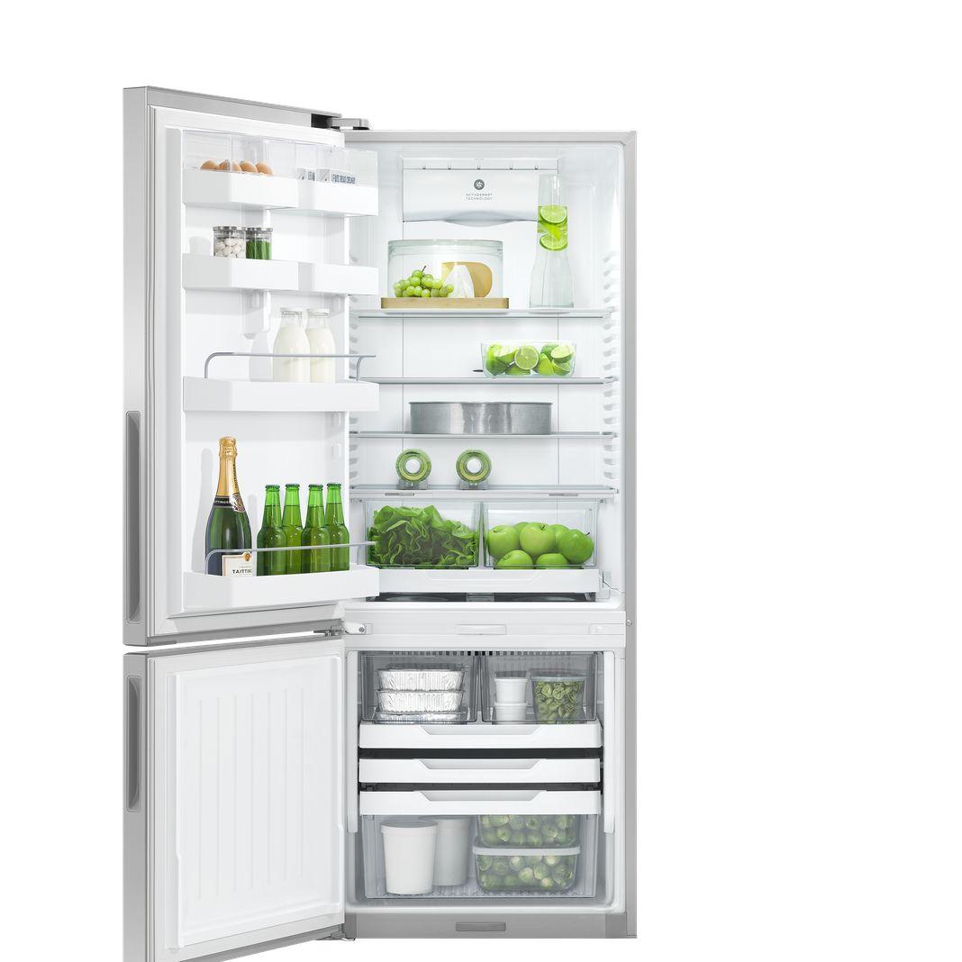 Fisher Paykel - 25 Inch 13.5 cu. ft Bottom Mount Refrigerator in Stainless - RF135BLPX6 N