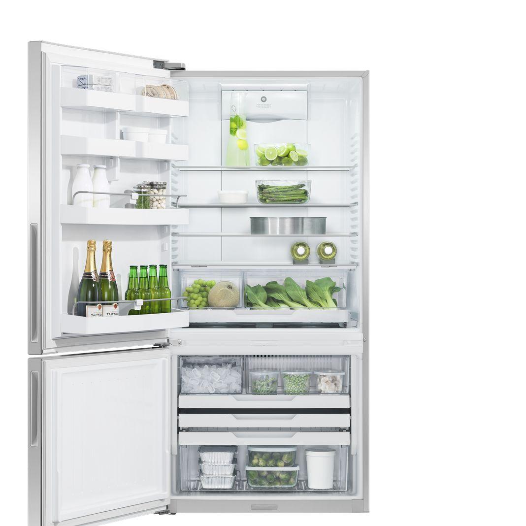 Fisher Paykel - 31.125 Inch 17.5 cu. ft Bottom Mount Refrigerator in Stainless - RF170BLPUX6 N