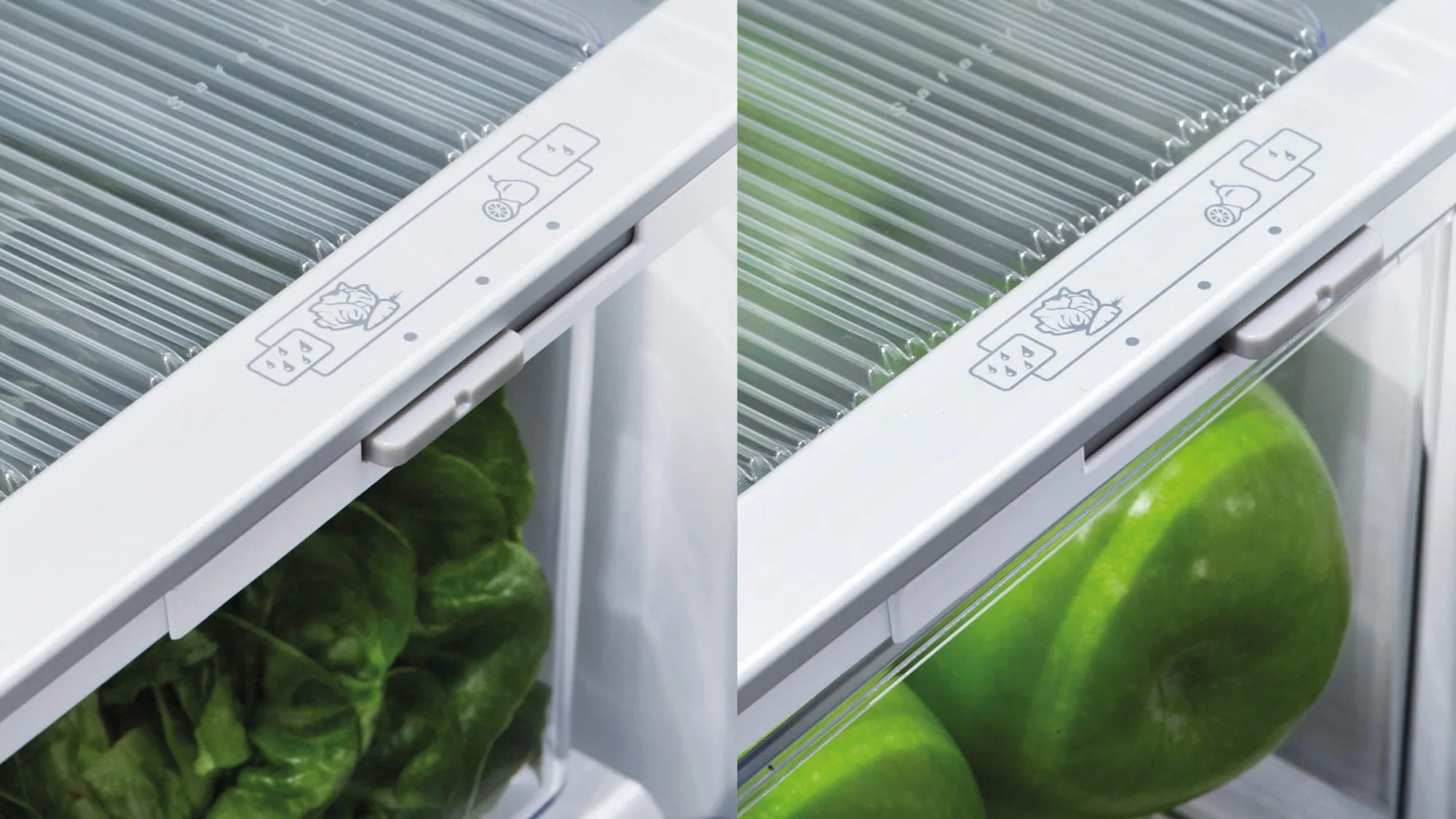 Fisher Paykel - 36 Inch 20.1 cu. ft French Door Refrigerator in Stainless - RF201ACUSX1