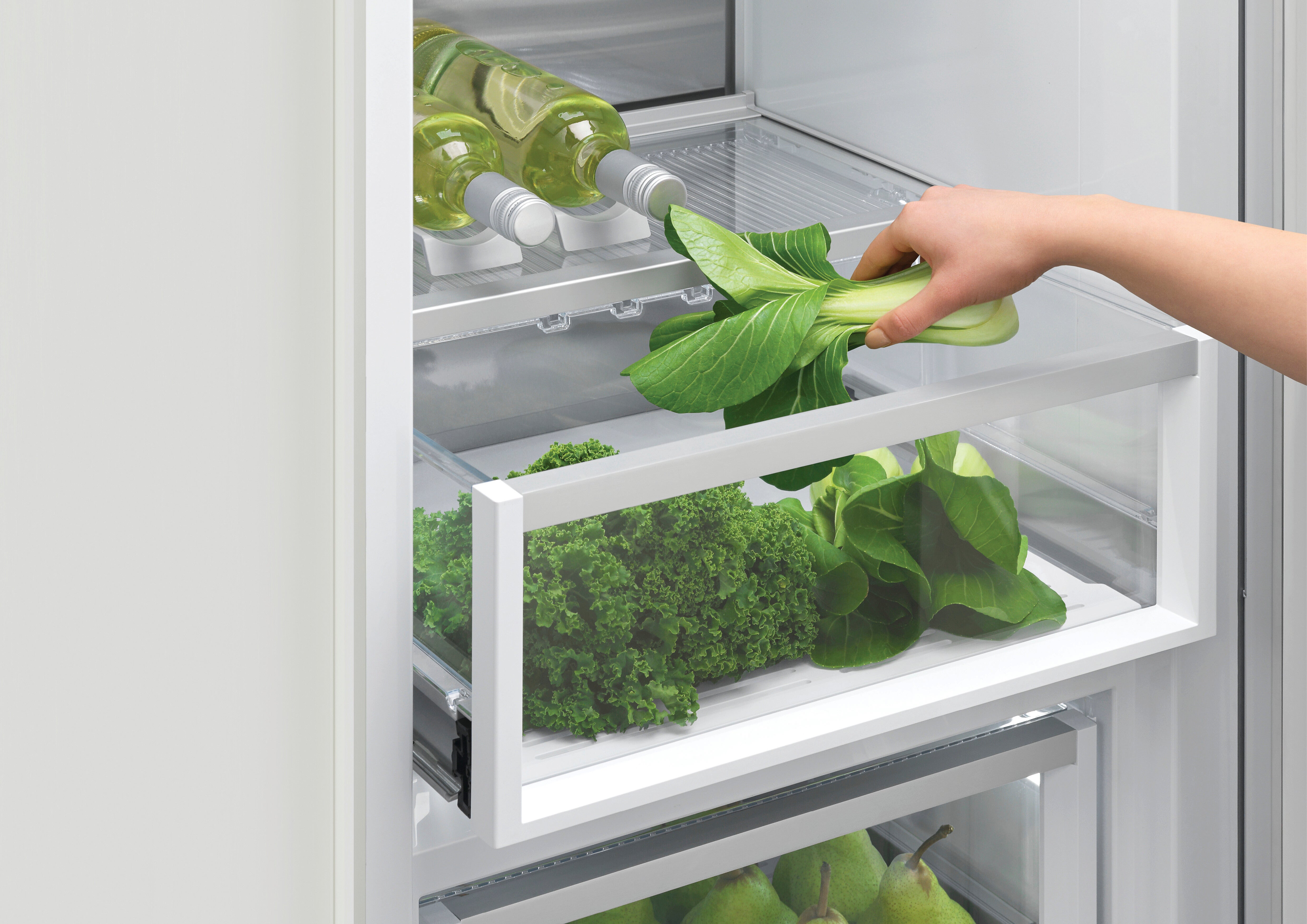 Fisher Paykel - 24 Inch 11.1 cu. ft Bottom Mount Refrigerator in Panel Ready - RS2474S3RH1