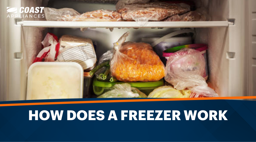 How Does a Freezer Work? Understanding Freezer Mechanics