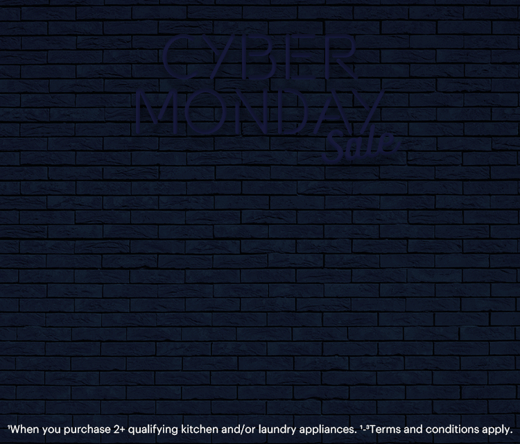Cyber Monday Sale Dec 1-10, 2025