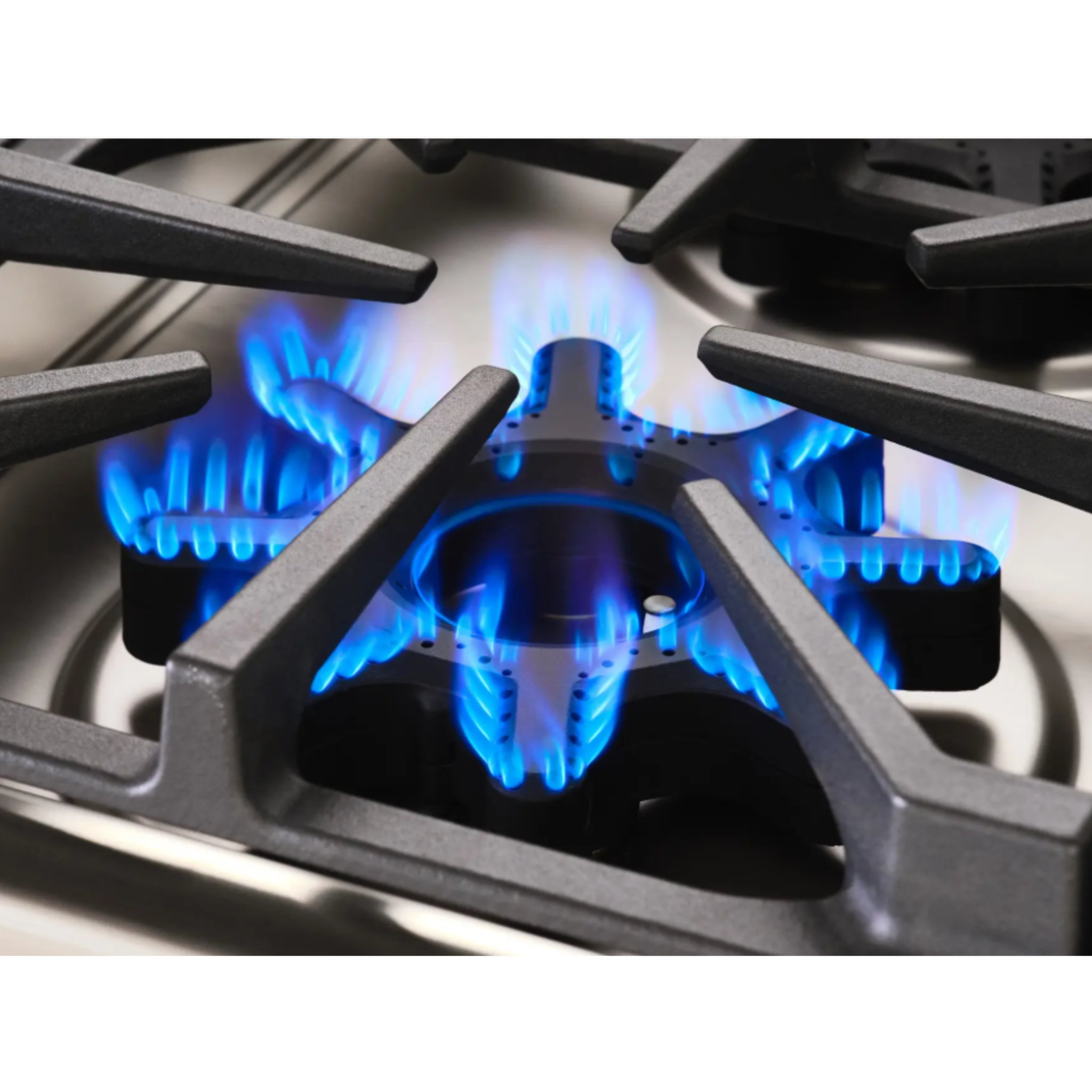 BlueStar - 36 Inch Gas Cooktop in Stainless - BSDCTX8366B