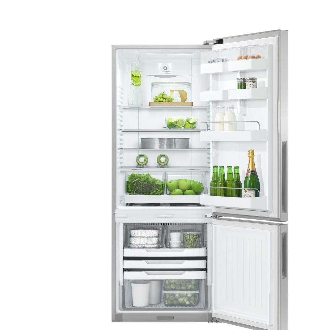 Fisher Paykel - 25 Inch 13.5 cu. ft Bottom Mount Refrigerator in Stainless - RF135BRPX6 N