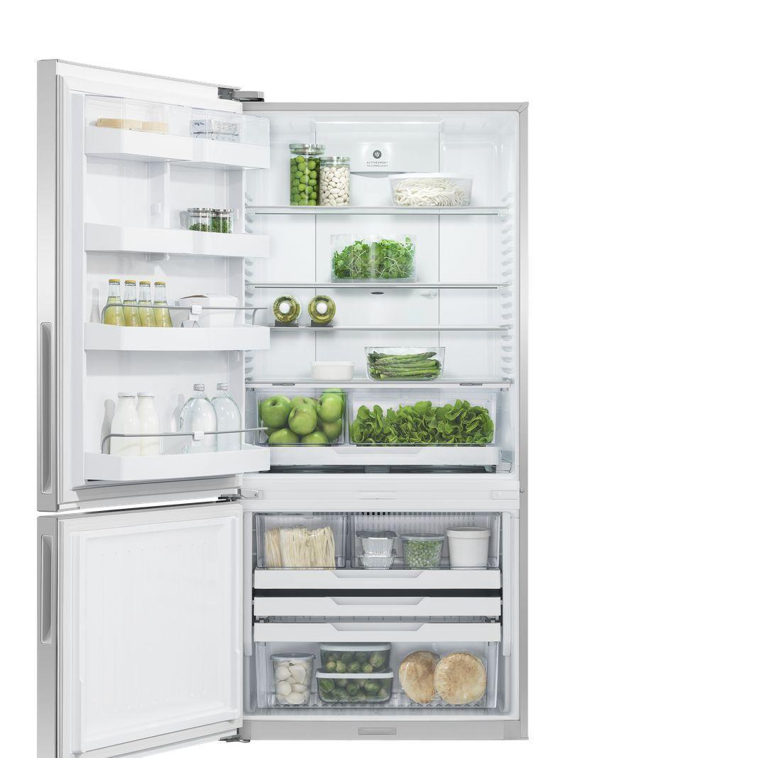 Fisher Paykel - 31.125 Inch 17.5 cu. ft Bottom Mount Refrigerator in Stainless - RF170BLPX6 N