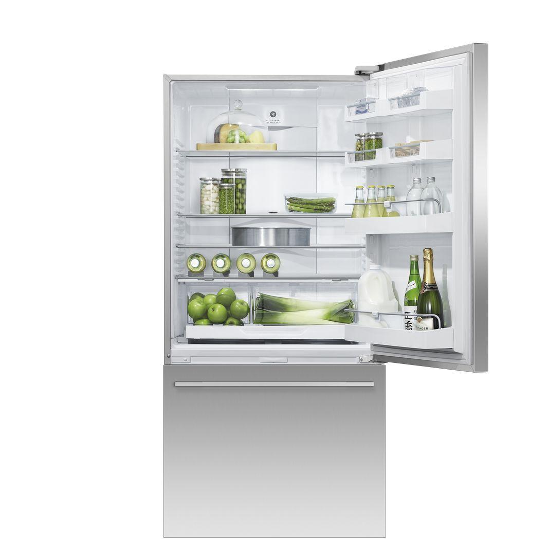 Fisher Paykel - 31 Inch 17.1 cu. ft Bottom Mount Refrigerator in Stainless - RF170WDRJX5